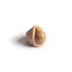 Collectible Cowry Shell Ring