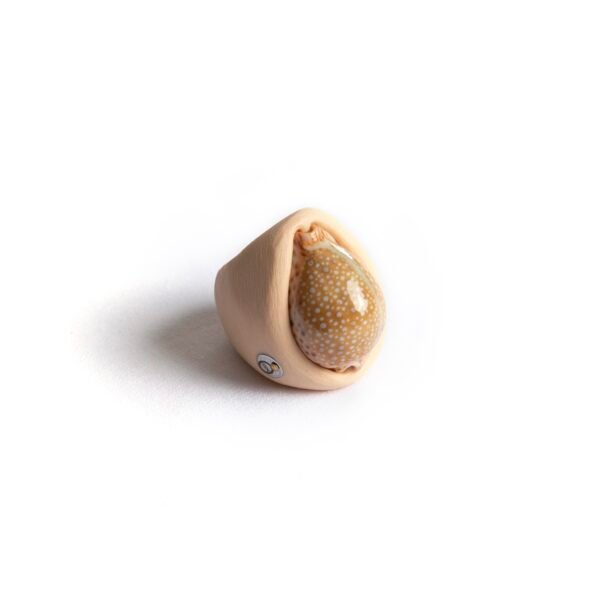 Collectible Cowry Shell Ring
