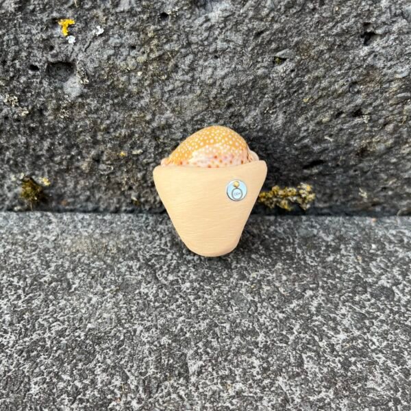 Collectible Cowry Shell Ring - Image 3