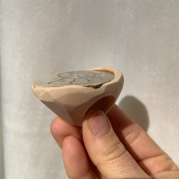 Gorgeous Ammonite Fossil Ring - Image 6