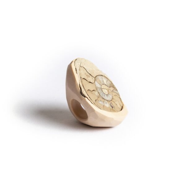 Gorgeous Ammonite Fossil Ring