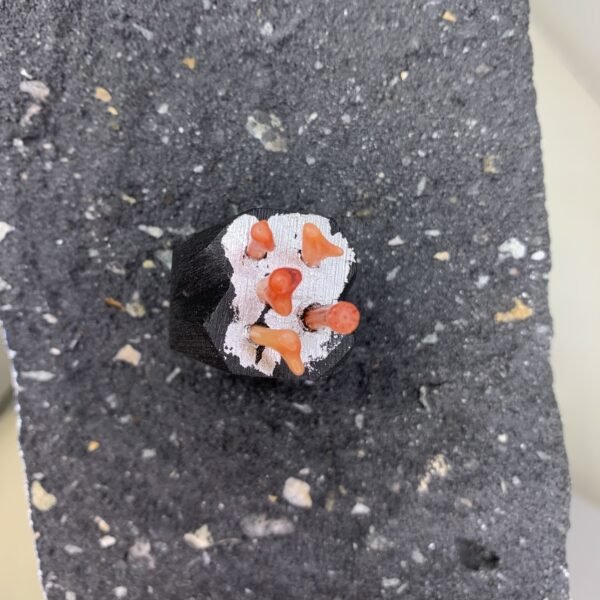 Red Coral Contemporary Design Ring - Image 4