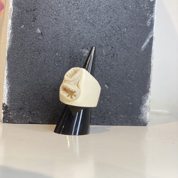 White Coral Ring - Image 3